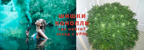 apvp Алзамай